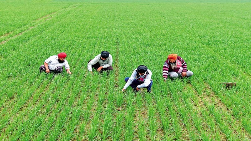 Efforts made by Uttar Pradesh for Agricultural Development