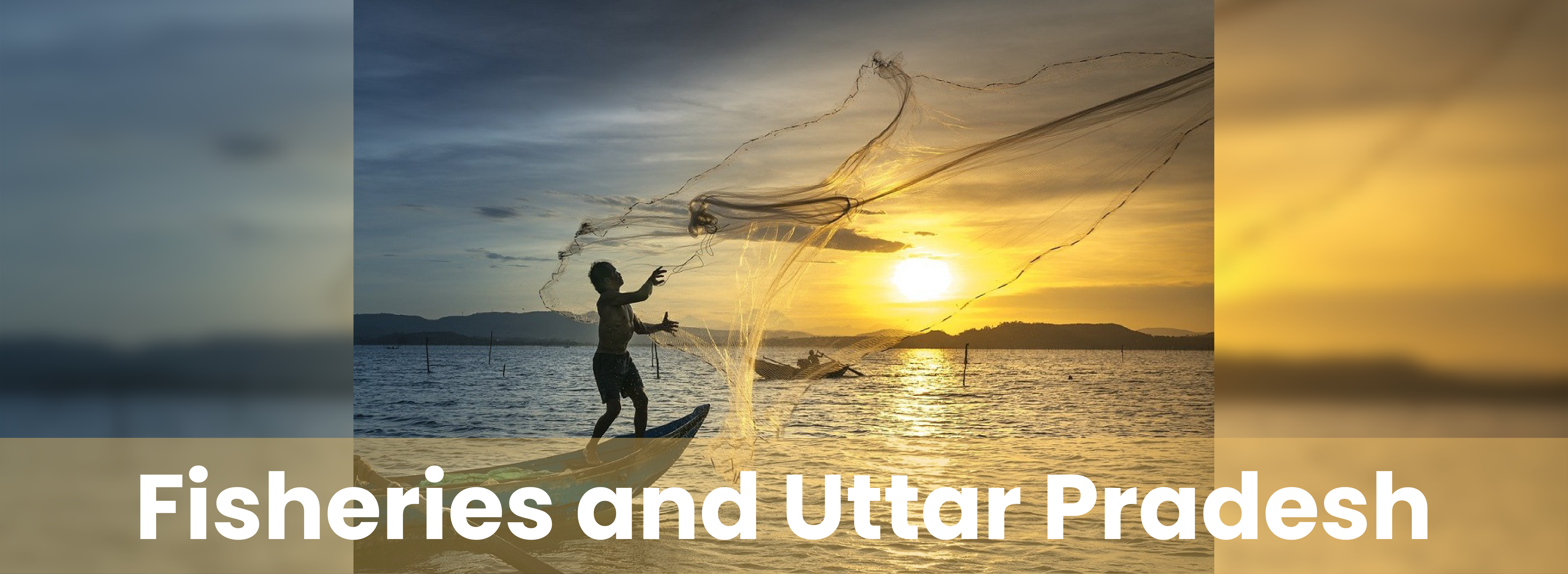 Fisheries and Uttar Pradesh